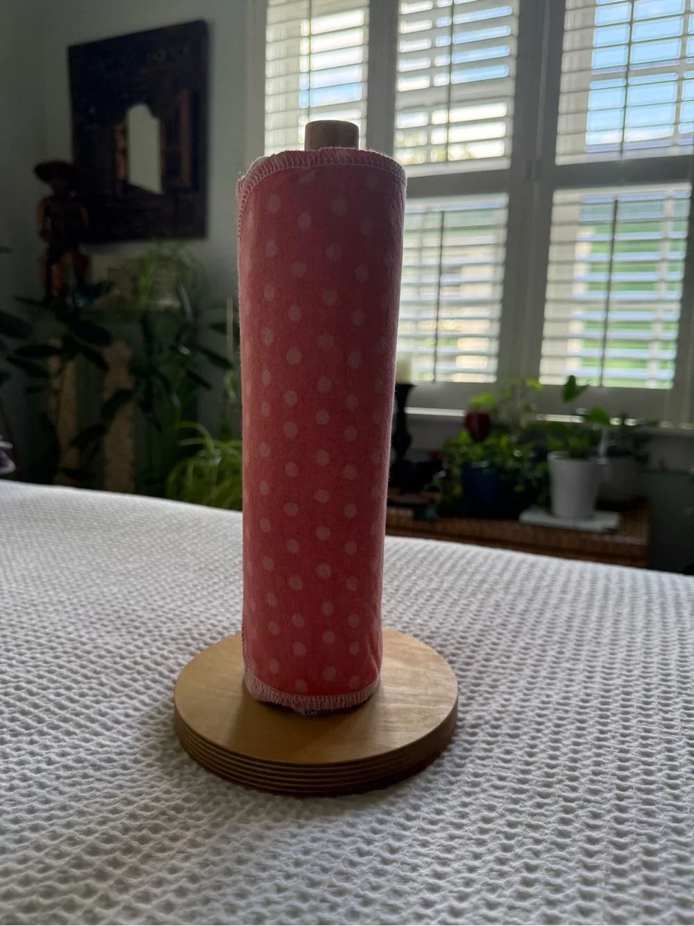 Re-usable paper towels + holder